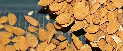 El precio de la almendra cae un 40% en los últimos meses
