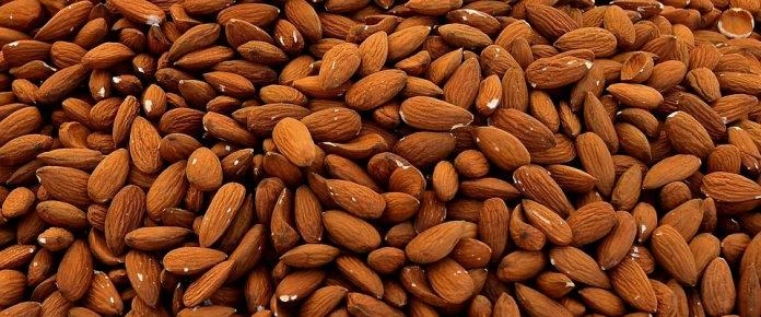 España es el principal comprador de almendra de Estados Unidos
