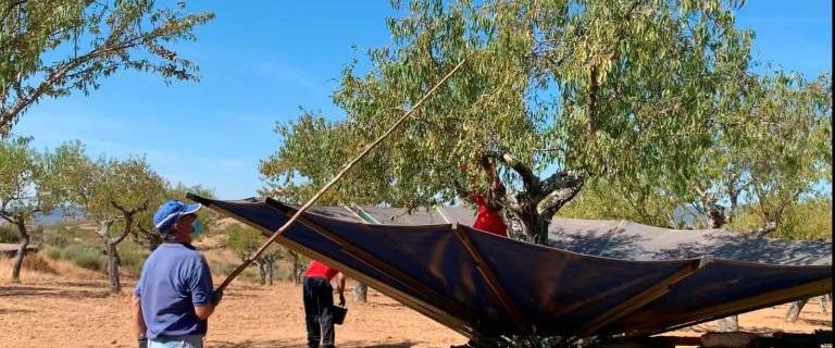La pasión por los almendros en Arribes