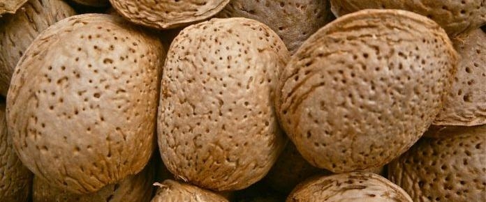 Las almendras anotan subidas selectivas en sus precios