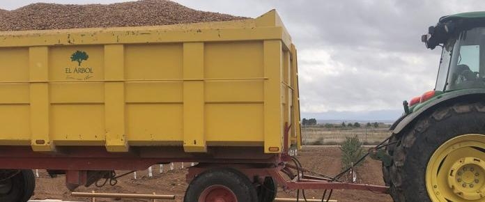 Variedades Largueta y Marcona encabezan subidas de los precios de almendra